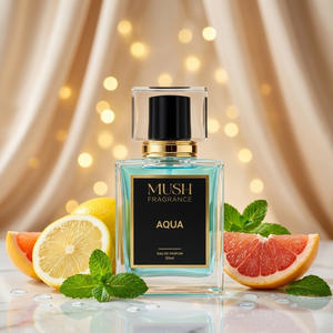 Aqua - Summer Reviews
