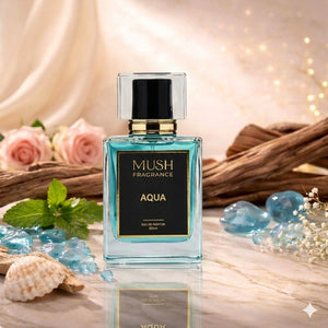 Aqua - Summer Reviews