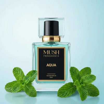 Aqua - Summer Reviews ⭐⭐⭐⭐⭐