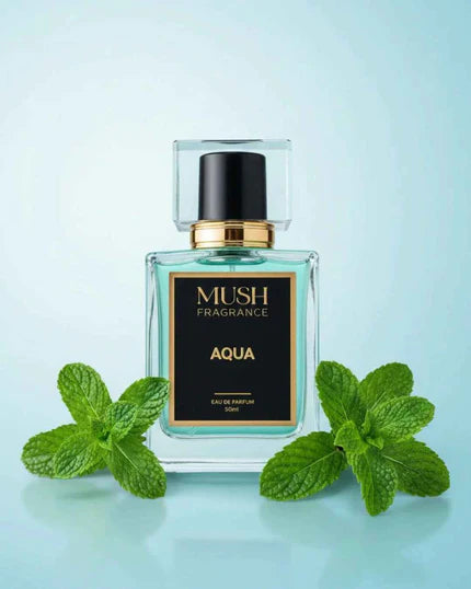 Aqua - Summer Reviews ⭐⭐⭐⭐⭐