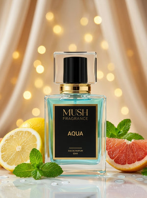 Aqua - Summer Reviews