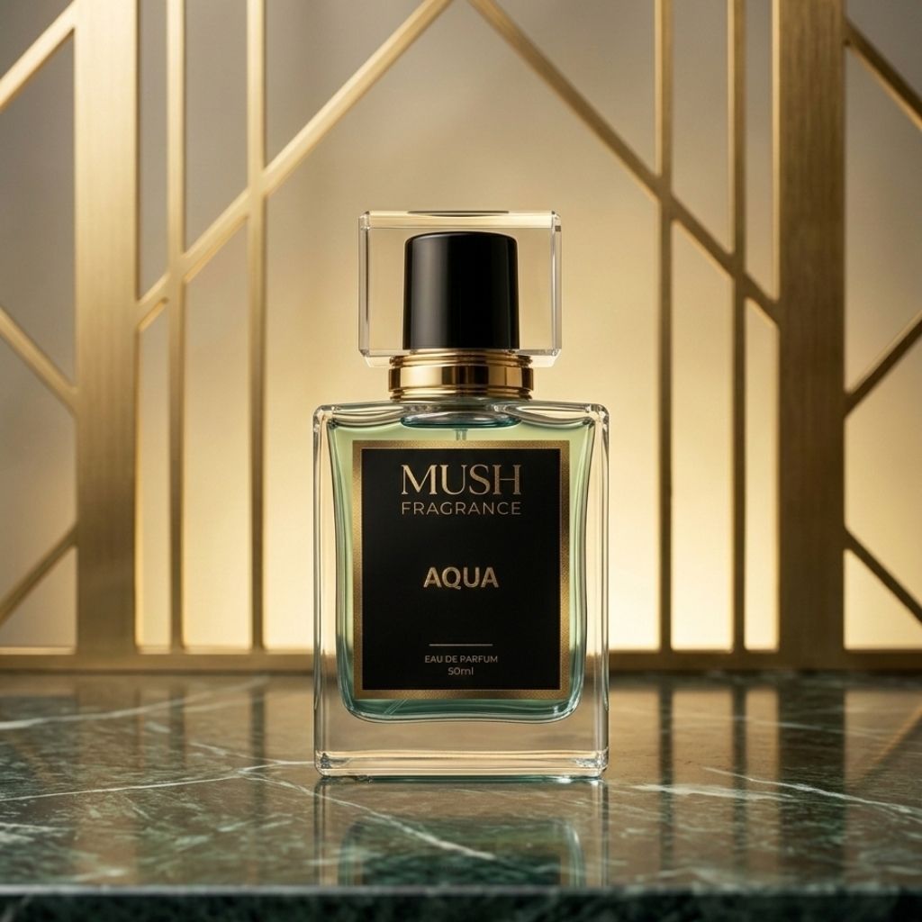 Aqua - Summer Reviews ⭐⭐⭐⭐⭐