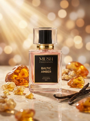 Baltic Amber - Trail of Warmth and Wonder Reviews